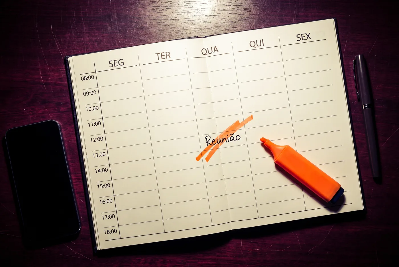 Ilustração: agenda semanal de segunda a sexta com todos os horários vazios e a única reunião riscada